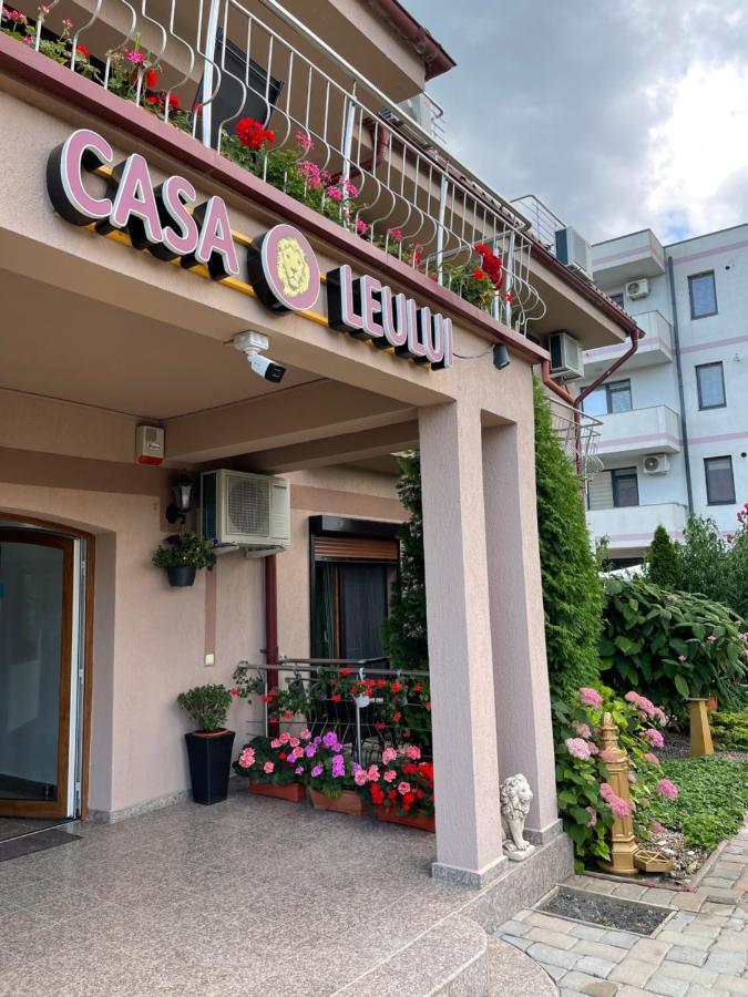 Отель Ametist Casa Leului Нэводари Экстерьер фото