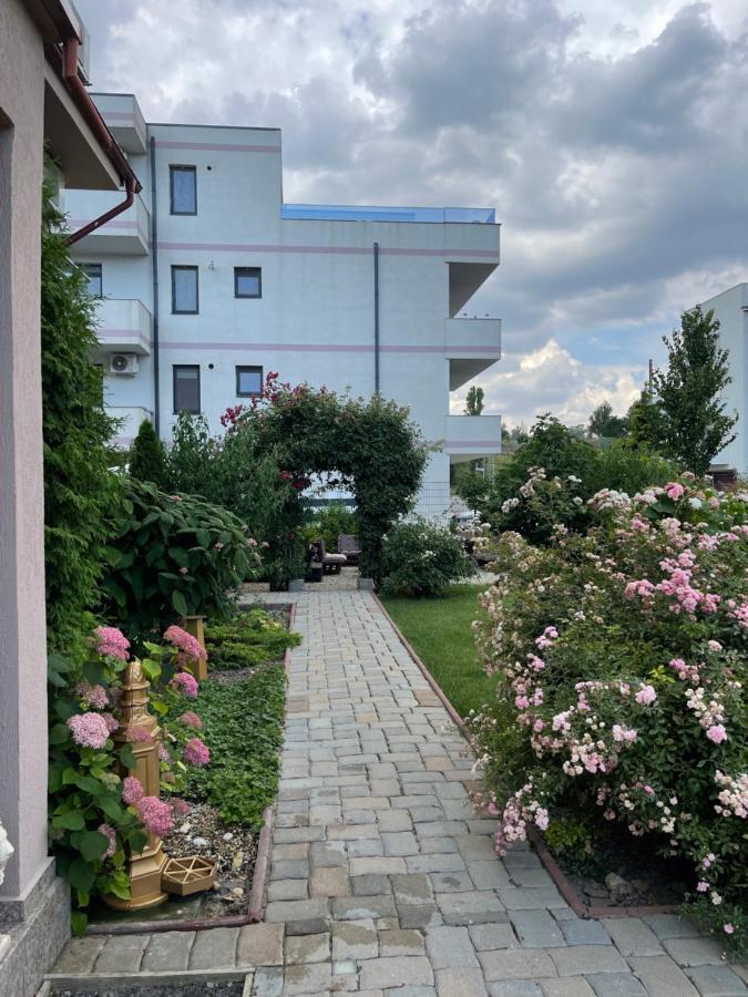 Отель Ametist Casa Leului Нэводари Экстерьер фото